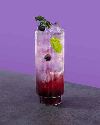 Non-alcoholic Blueberry Mojito