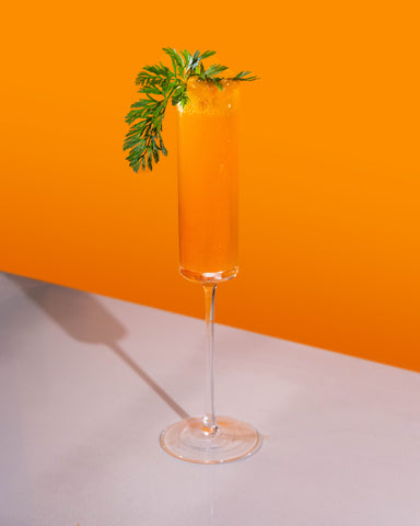 Carrot mimosa